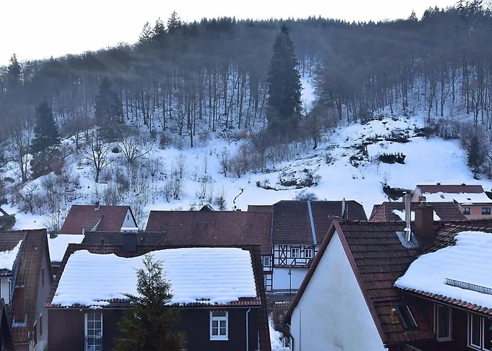 Apartment Near The Ski Area In Zorge