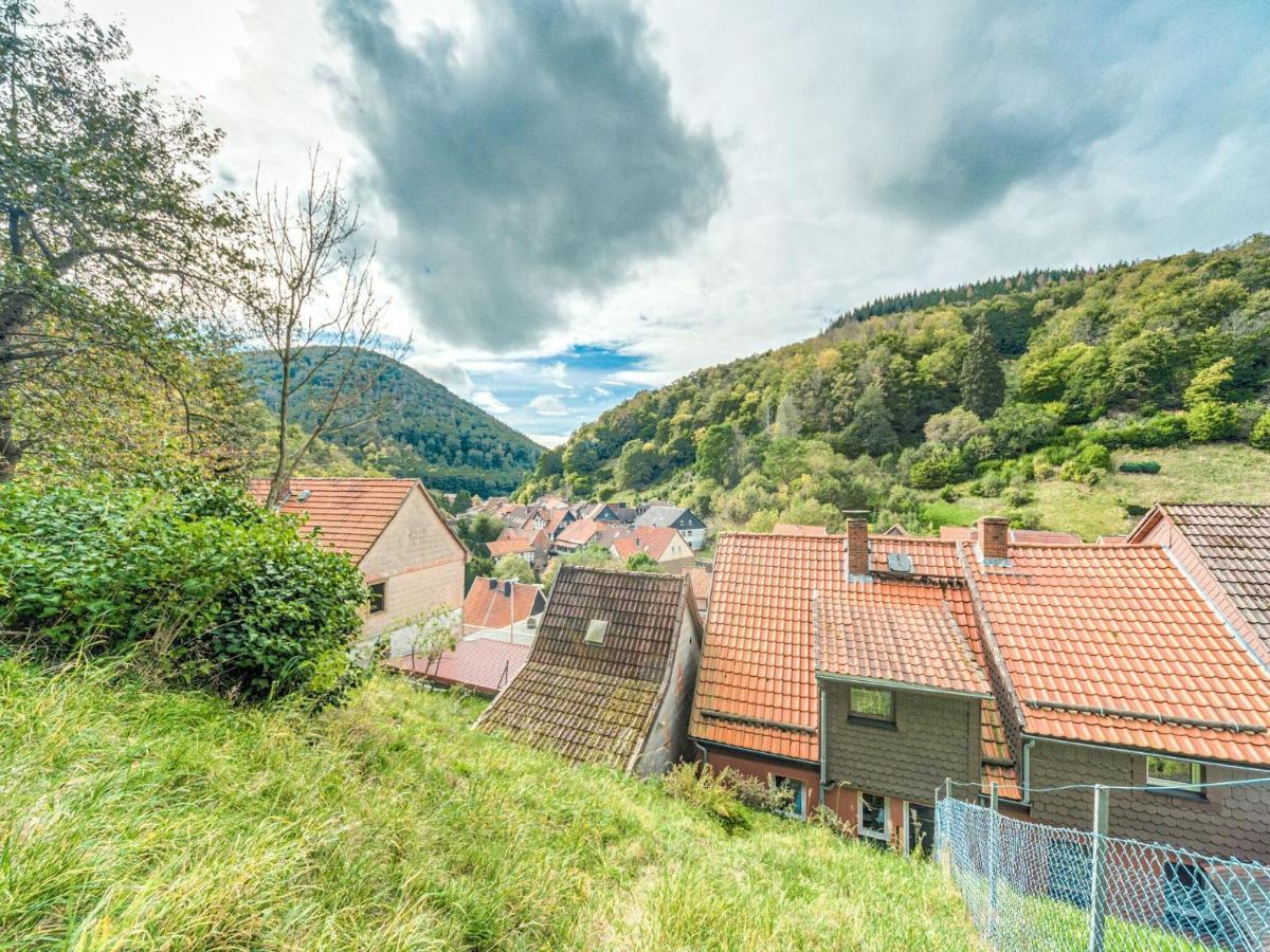 Near The Area In Apartment Zorge